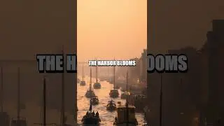 Shells at Dawn and Songs at Dock A Tiny Island Law Tale