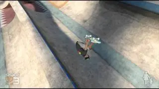 Skate 3 fla!3r