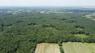 Mavic Mini Hasbruch von oben