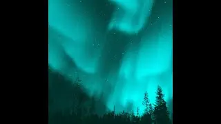 (FREE FOR PROFIT) Melodic Trap Type Beat - 