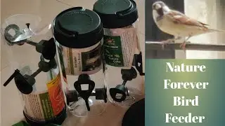 Save Sparrows || How to Install Nature Forever Bird Feeder || Review || Sparrows on my feeder