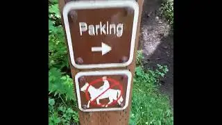 camano ridge preserve trail