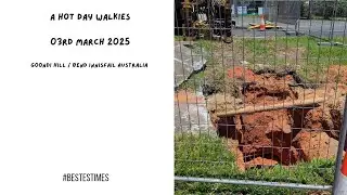 A Hot Day Walkies - Goondi Hill / Bend (03rd March 2025).