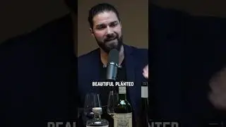 Portuguese Master Sommelier REVEALS one of his FAVOURITE #wine producers from his home country! 🍷