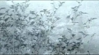 mayjuneseptemberMix fragments Atlantis Child Asura360