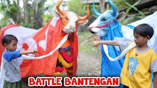 WIDIIH✅‼️ B0C1L ADU BANTENGAN SAPI MBEROT VS BARONGAN JAHAT KIRA2 SIAPA PEMENANGNYA