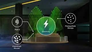 Bio-Electricity : The Co-Production Platform for Microbial Generated Electricity