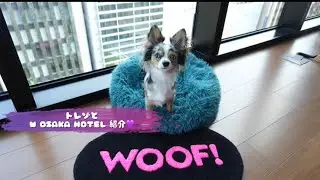 トレゾと