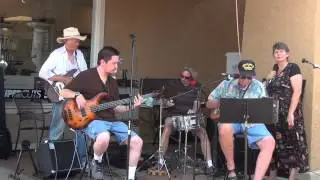 Lee Tipps - Blue Hawaiian Moonlight