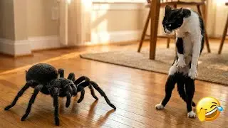 You Laugh You Lose 🥳 The funniest cat and dog video you'll see today 🐕 Part 7
