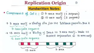 Replication origin