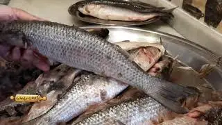 تنظيف السمك البوري وتجهيزه للشوي