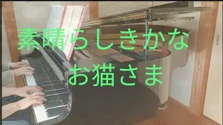 素晴らしきかな、お猫さま   ピアノ連弾　キアッキエーレ　for 1piano 4hands -chiacchiere