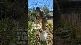 #gardeningtunnel