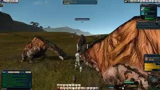 Entropia Universe  We Need a News Station!