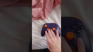 Spyro the dragon xbox controller from r/xbox    #xbox
