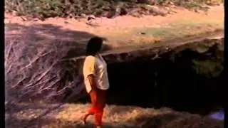 'We come from the land' Orient Point NSW 1988