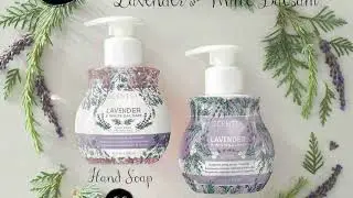 2017 Holiday Collection