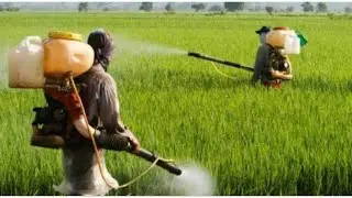Crop Production and Management  || Fertilizer || Advantages of Manure