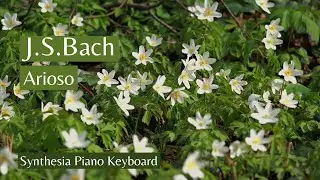 J.S.BACH - Arioso * Synthesia Piano Keyboard