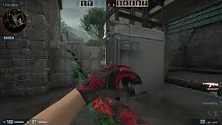 CSGO POV CPH Flames roeJ (26/14) vs FaZe (ancient) @ PGL Major Stockholm 2021