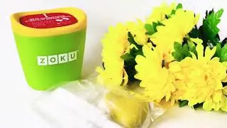 Набор для приготовления мороженого Zoku Single Quick Pop Maker Green