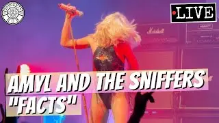 Amyl and The Sniffers 