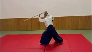 @Aikido Trecate 