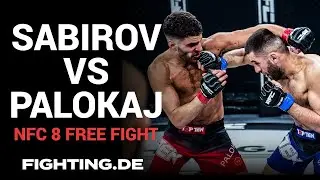 Free Fight: SABIROV vs PALOKAJ | NFC 8 - FIGHTING