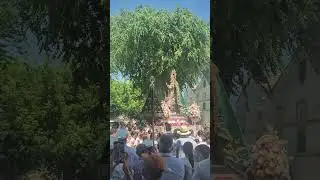 Viva la Virgen de Alharilla. Viva!!!