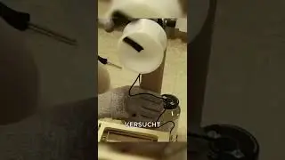 Dieses Experiment mit einer Spinne wird dich &uuml;berraschen! 🕷️ #tiere #shorts