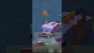 1 19 Update   How I Finally Got the Snowy Grass Block in Minecraft