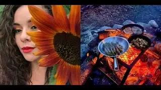 Alaska Spring Cleaning: Seedlings Update- Fire‑Pit Food & Community Trash Clean‑Up