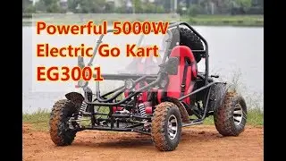 Powerful 5000W Electric Go Kart EG3001
