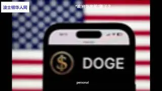 &ldquo;政府效率部&rdquo;歇了？