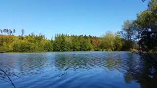 phaeriss - breath of nature i (4k nature video relax music) 2019