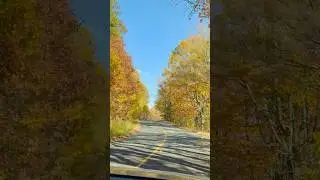 Nature universe🍁🍁🍁🍁🍁🍁