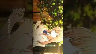 Snap x Baarishen -「AMV」