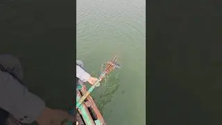 Village fishing Video 🐬 Boat fishing video🌻( part_213) #fishing #shorts #trending #fish #boat