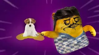 Culpo al perro de ORINARSE cuando en realidad soy YO😳