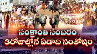ఈ ఏడాది అలరించిన సంక్రాంతి సందడి | Sankranti Festival Made All Fraternities Happy || Idi Sangathi