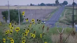 6 dead after &lsquo;dairy accident&rsquo; in Weld County, including high school student: Officials