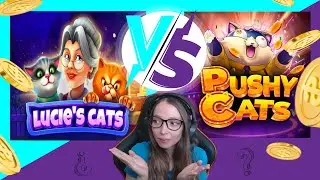 Lucie's Cats V/S Pushy Cats