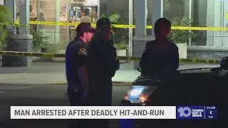 Arrest made in fatal hit-and-run crash in St. Pete Publix parking lot