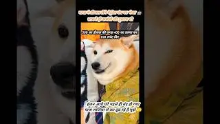 Dogesh भाई घपलेबाज 💀#shorts #dogeshbhai #cartoon #dogmeme#funny