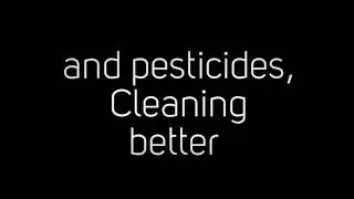 Commercial Exterminators