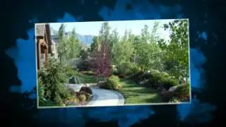 tree guard