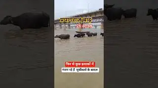बाढ़ का संकट #prayagraj #flood #news #viralvideo #nature #water #ganga #gta #allahabad #ytshorts