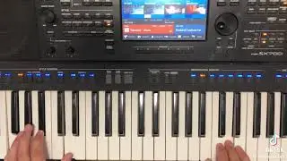 Aves tu Palmande 🎙🎼