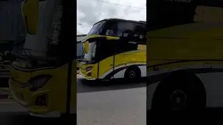 Bus Travel After Long Eid Holiday #bus #holiday #short #shorts